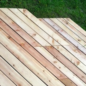 Freshly installed Scottish Larch decking with golden colour