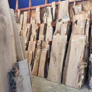 Inside the Scottish Wood timber shop and showroom - hardwood boards of different species line the shelves