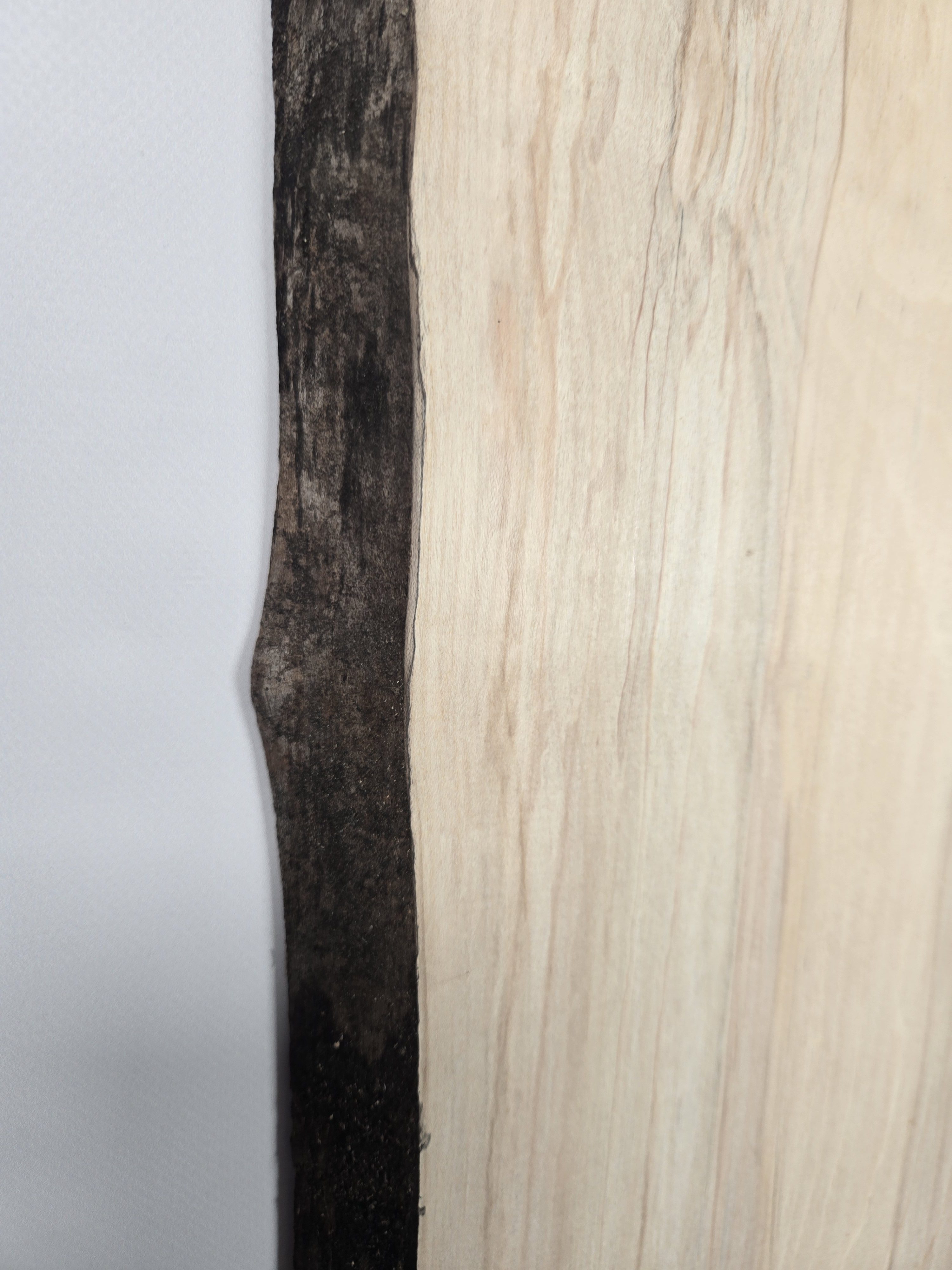 Light Sycamore Board - Image 5